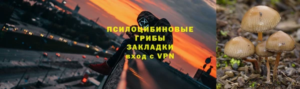 Альфа ПВП Алзамай