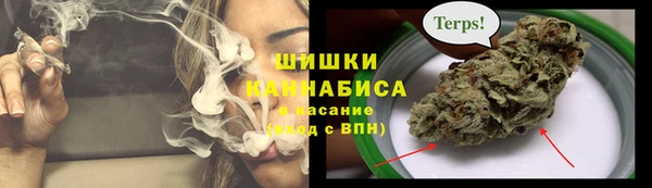 гидра Алексеевка