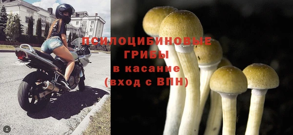 прущий лед Алексин